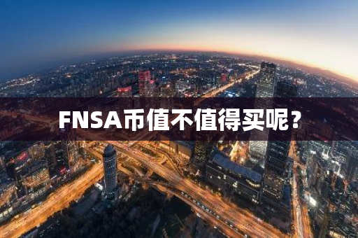 FNSA币值不值得买呢？