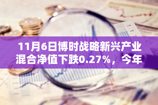 11月6日博时战略新兴产业混合净值下跌0.27%，今年来累计下跌1.76%