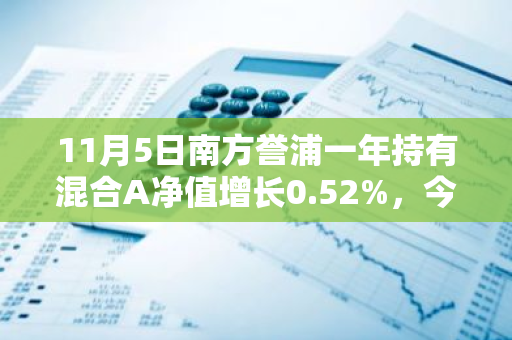 11月5日南方誉浦一年持有混合A净值增长0.52%，今年来累计上涨7.08%