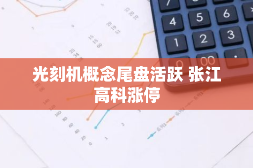 光刻机概念尾盘活跃 张江高科涨停