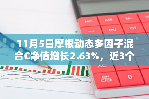 11月5日摩根动态多因子混合C净值增长2.63%，近3个月累计上涨20.79%