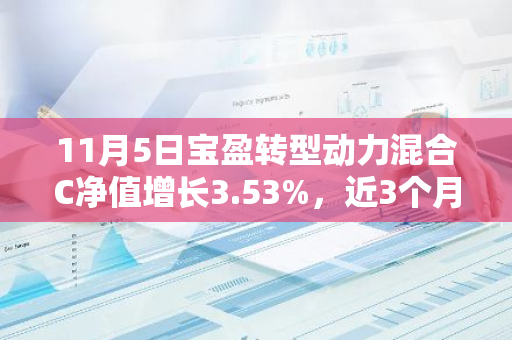 11月5日宝盈转型动力混合C净值增长3.53%，近3个月累计上涨29.55%
