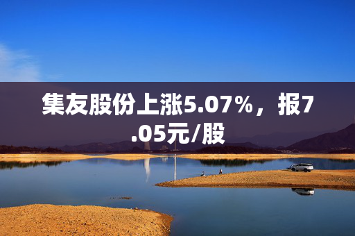 集友股份上涨5.07%，报7.05元/股