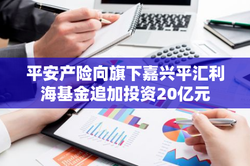 平安产险向旗下嘉兴平汇利海基金追加投资20亿元