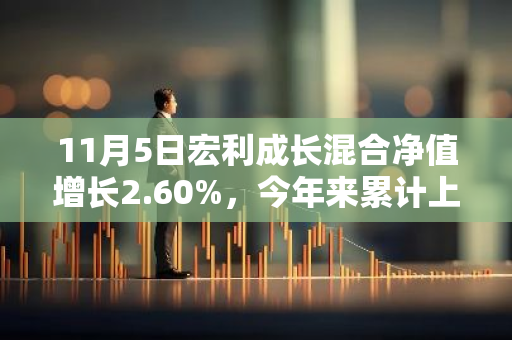 11月5日宏利成长混合净值增长2.60%，今年来累计上涨47.23%