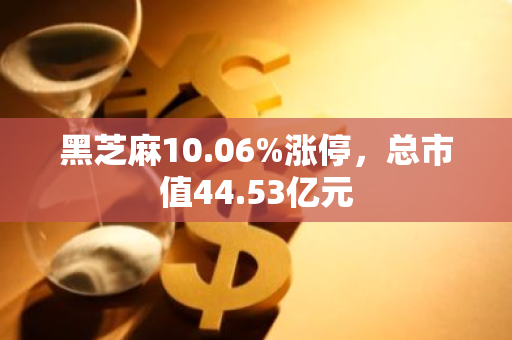 黑芝麻10.06%涨停，总市值44.53亿元