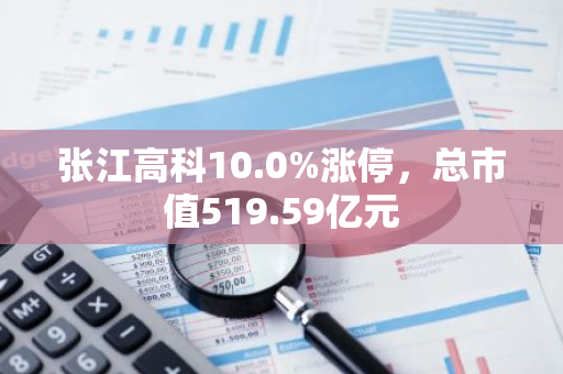 张江高科10.0%涨停，总市值519.59亿元