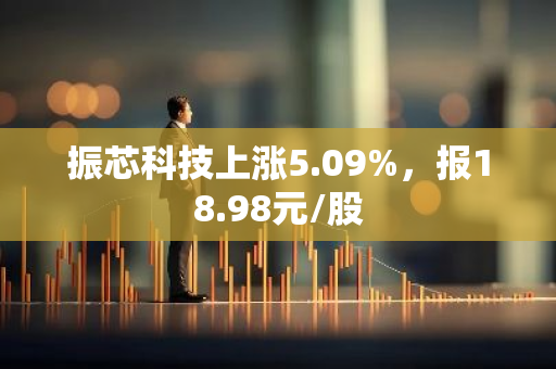 振芯科技上涨5.09%，报18.98元/股