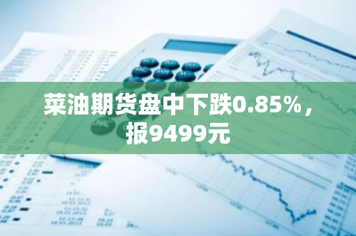 菜油期货盘中下跌0.85%，报9499元