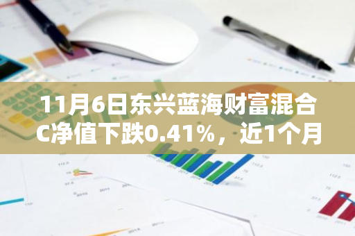 11月6日东兴蓝海财富混合C净值下跌0.41%，近1个月累计下跌5.5%