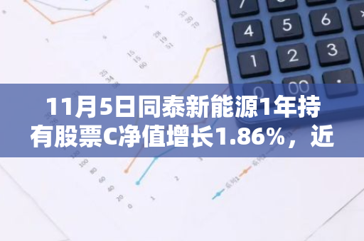 11月5日同泰新能源1年持有股票C净值增长1.86%，近3个月累计上涨24.66%