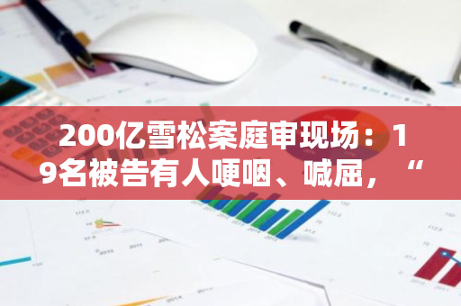 200亿雪松案庭审现场：19名被告有人哽咽、喊屈，“像在看电影”