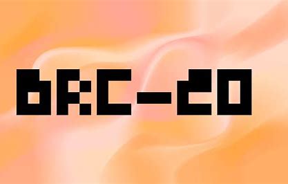 BRC 20 与 DRC 20：您需要了解的一切