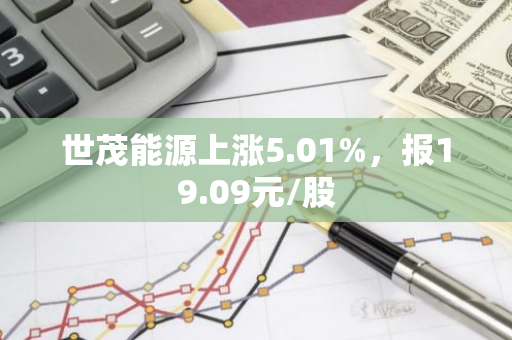 世茂能源上涨5.01%，报19.09元/股