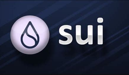 如何将 Sui 添加到 MetaMask 钱包