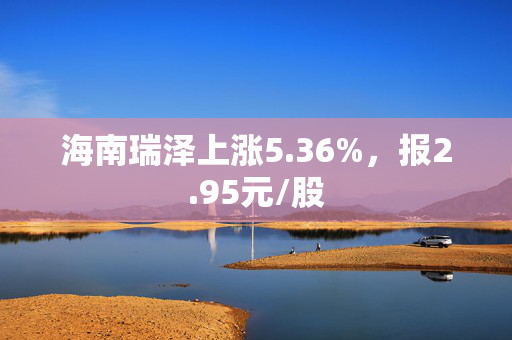 海南瑞泽上涨5.36%，报2.95元/股