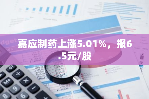 嘉应制药上涨5.01%，报6.5元/股