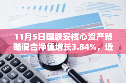 11月5日国联安核心资产策略混合净值增长3.84%，近3个月累计上涨32.23%