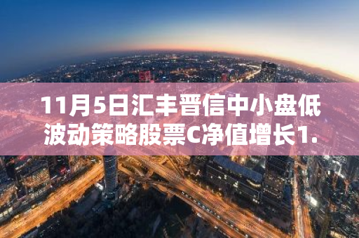 11月5日汇丰晋信中小盘低波动策略股票C净值增长1.61%，近3个月累计上涨15.21%