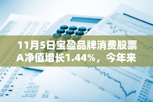 11月5日宝盈品牌消费股票A净值增长1.44%，今年来累计上涨21.19%