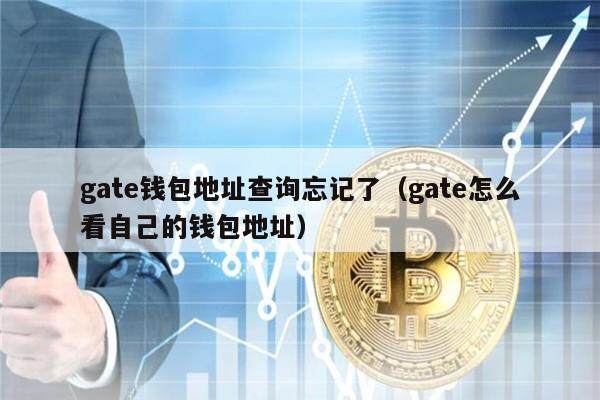 gat钱包地址查询忘记了（gat怎么看自己的钱包地址）