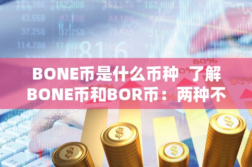 BONE币是什么币种  了解BONE币和BOR币：两种不同的加密货币