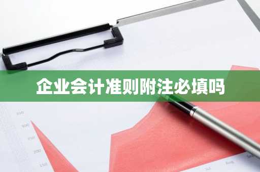 企业会计准则附注必填吗