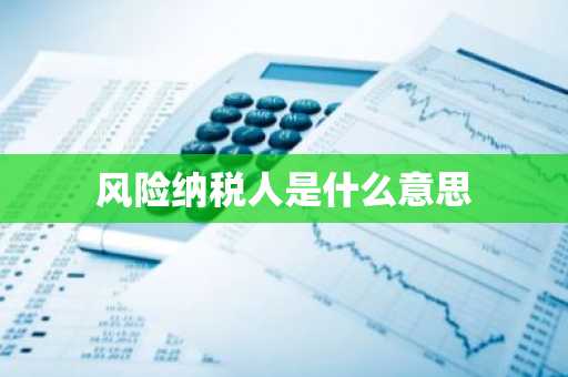 风险纳税人是什么意思