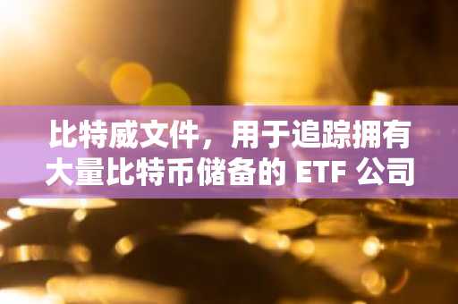 比特威文件，用于追踪拥有大量比特币储备的 ETF 公司