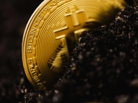 平顶山比特币最新案例