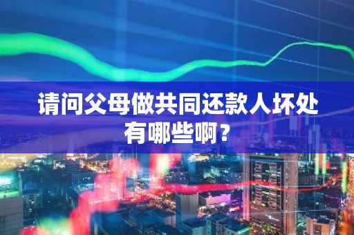 请问父母做共同还款人坏处有哪些啊？