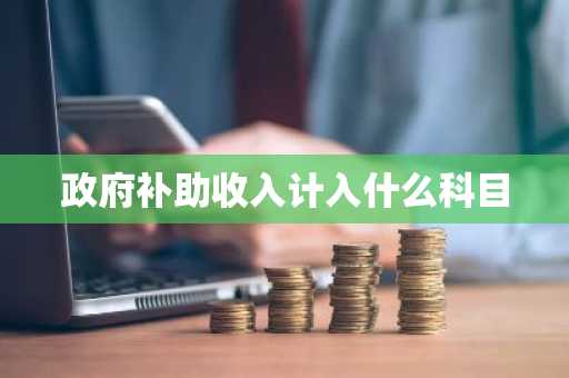 政府补助收入计入什么科目