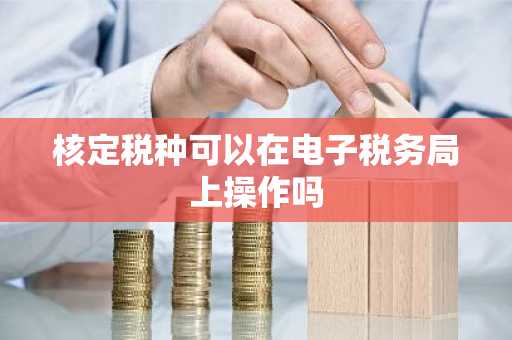 核定税种可以在电子税务局上操作吗
