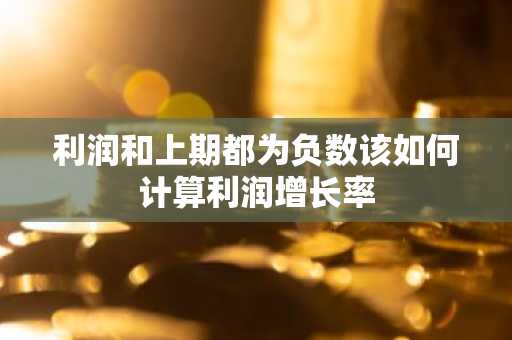 利润和上期都为负数该如何计算利润增长率