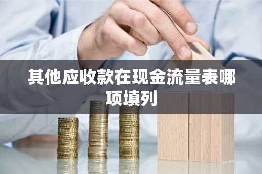 其他应收款在现金流量表哪项填列