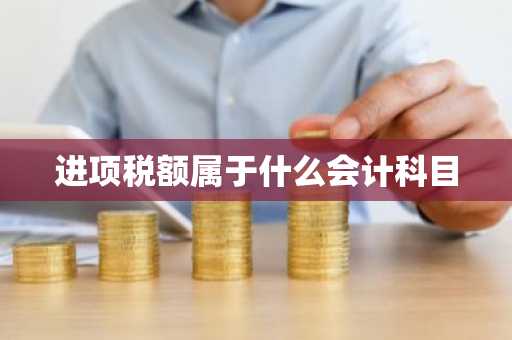 进项税额属于什么会计科目
