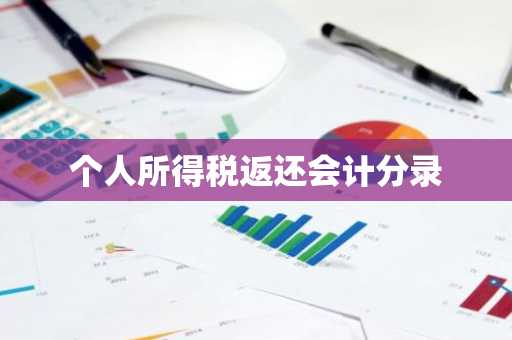 个人所得税返还会计分录