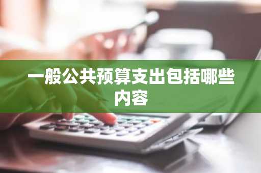一般公共预算支出包括哪些内容