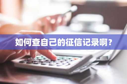 如何查自己的征信记录啊？