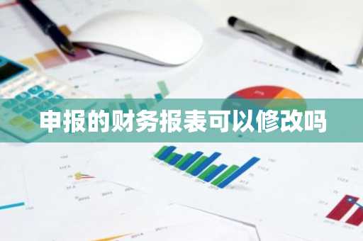 申报的财务报表可以修改吗
