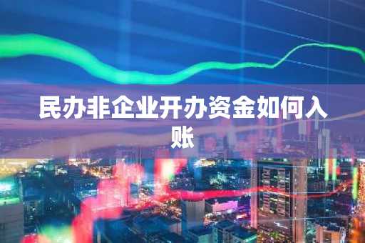 民办非企业开办资金如何入账