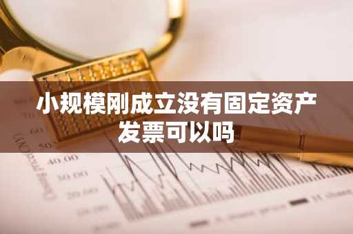 小规模刚成立没有固定资产发票可以吗