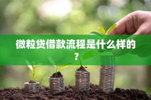 微粒贷借款流程是什么样的？