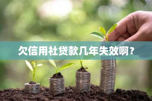 欠信用社贷款几年失效啊？