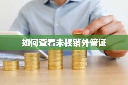 如何查看未核销外管证