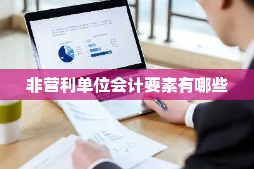 非营利单位会计要素有哪些