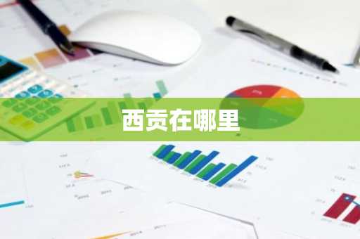 西贡在哪里