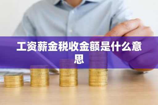 工资薪金税收金额是什么意思
