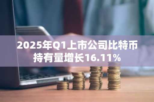 2025年Q1上市公司比特币持有量增长16.11%