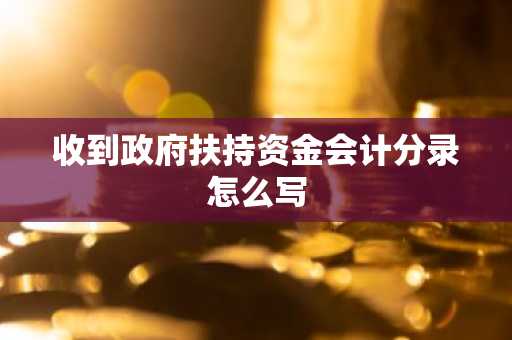 收到政府扶持资金会计分录怎么写